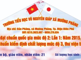 HỘI TRẠI HOA  ANH ĐÀO TRƯỜNG TH VÕ NGUYÊN GIÁP